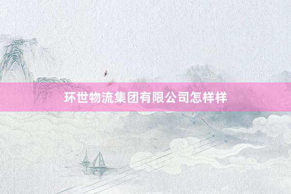 环世物流集团有限公司怎样样